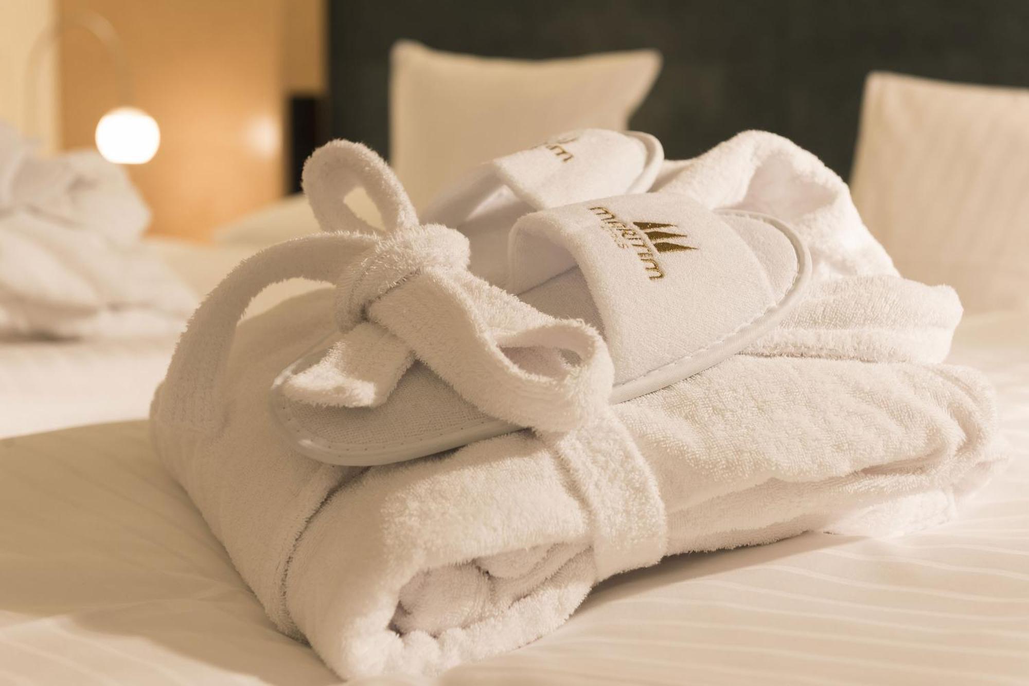 Maritim Hotel Koenigswinter Phòng bức ảnh